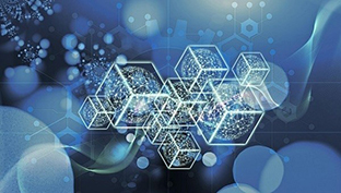 immagine stizzata di connessioni di rete